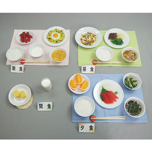 57−A フードモデル健康な高齢者の献立