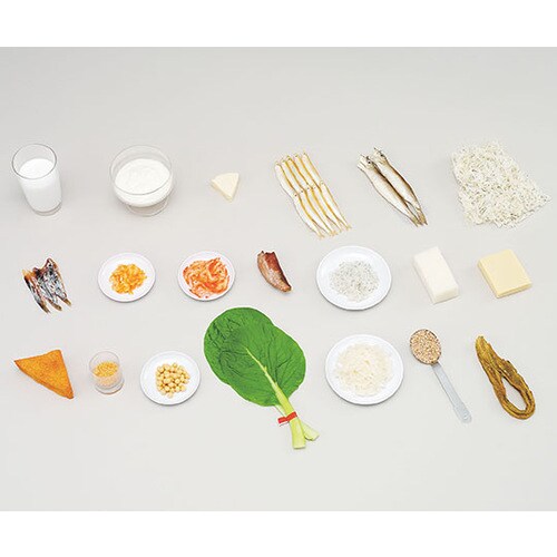73 フードモデル カルシウムを含む食材