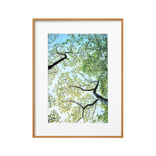 FZG01−A3NNT ZEROフレーム