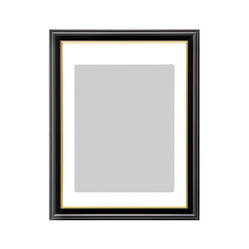 FWIY−TB 肖像額縁入山太子判無反射