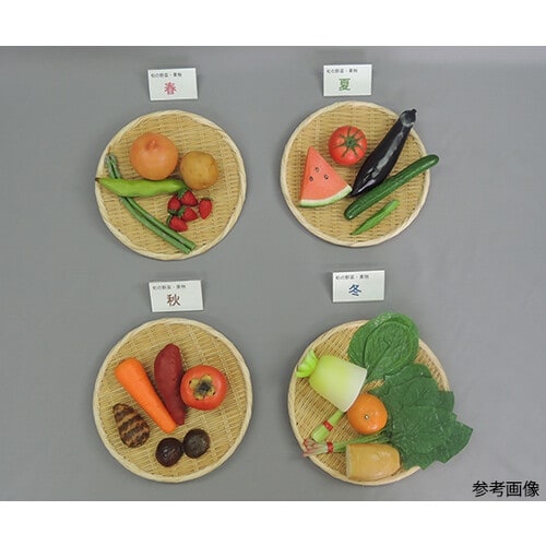 食育/旬の野菜・果物フードモデル 28品