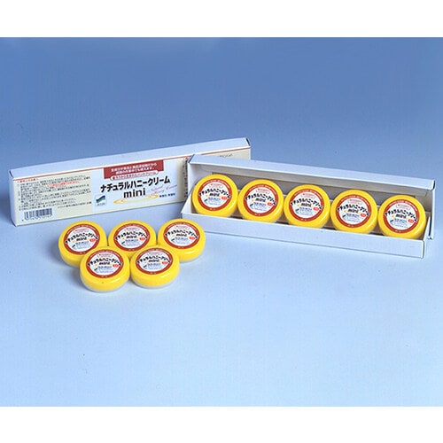 313 ハニークリームmini50個