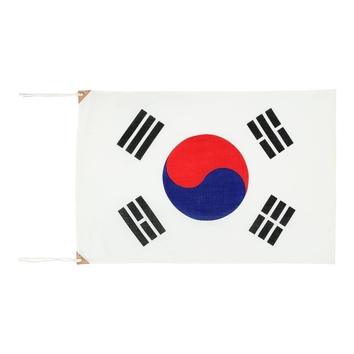 YJN6901万国旗70×105大韓民国