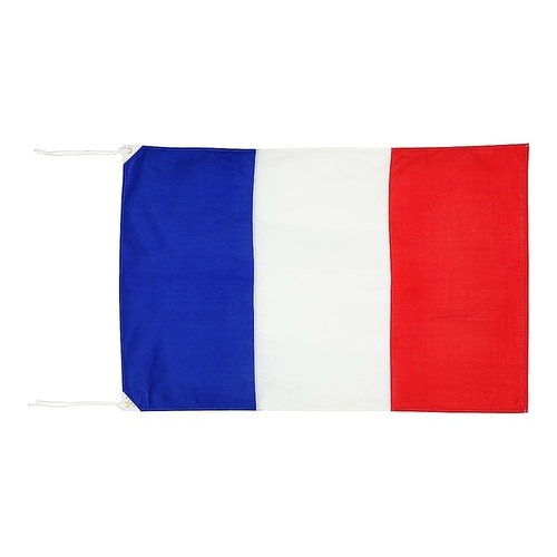 YJN7201万国旗70×105フランス