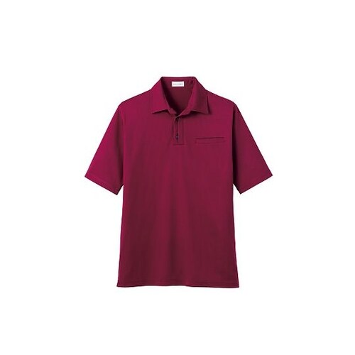 FB4532U−3 3L 和ポロ