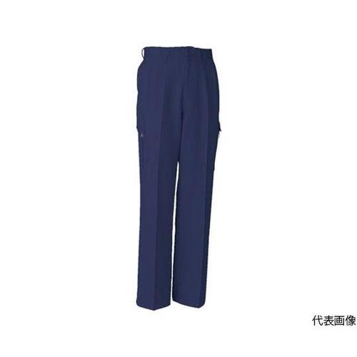 H−1195−1−110 フイッシング