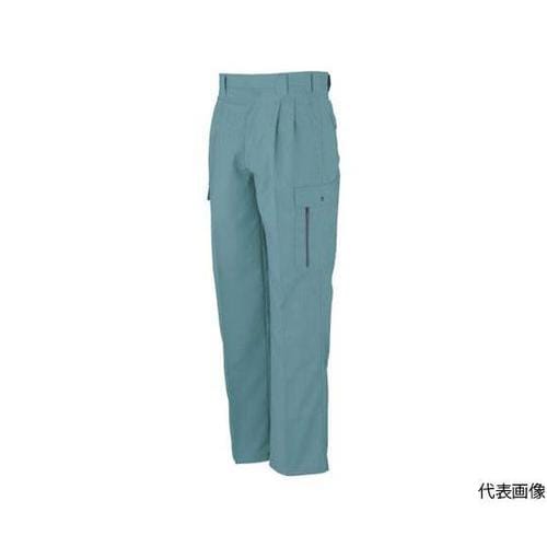 H−195−9−110 フィッシング