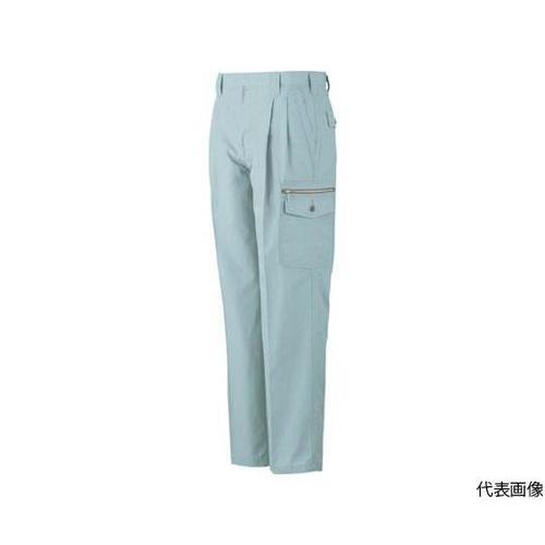 P−8895−6−110 フィッシング