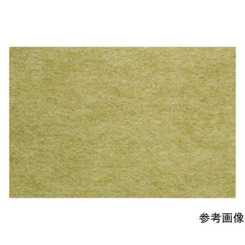 EP50318220エコパンチカーペット