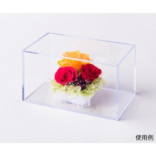 ミノルキューブLロング透明×透明 36個