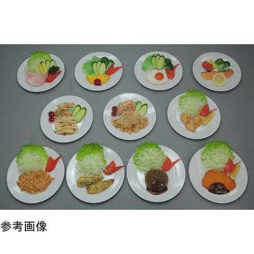 21−1 糖尿病フリーチョイス「主菜2」