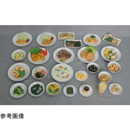 72−21 骨粗鬆症食 指導用献立モデル