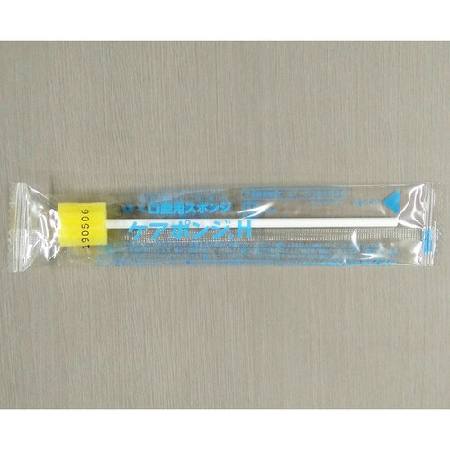 ケアポンジH プラ軸 50本×6袋入 0