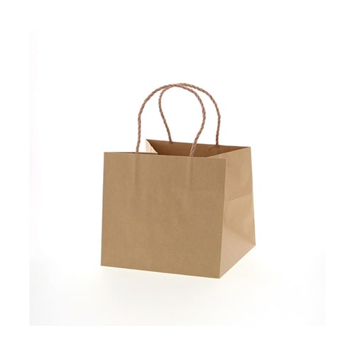 Pスムースバッグ 22−22 未晒無地 25枚