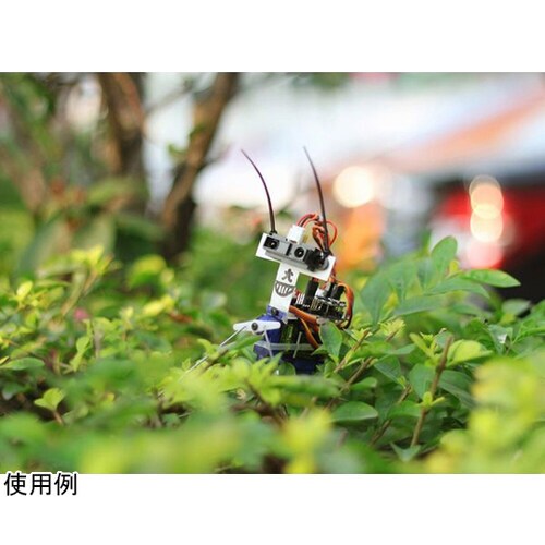 Insect bot 110990448