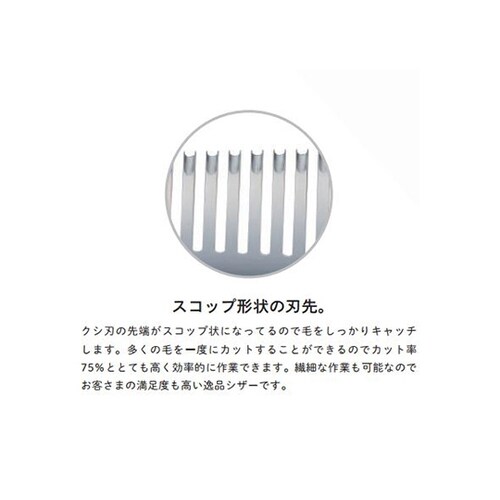 カット&セニングシザー 胡蝶シリーズ 6