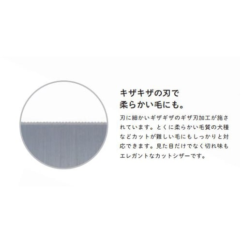 カット&セニングシザー 胡蝶シリーズ 5