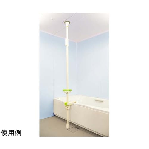 マスカット ポールタイプ2 リングアーム