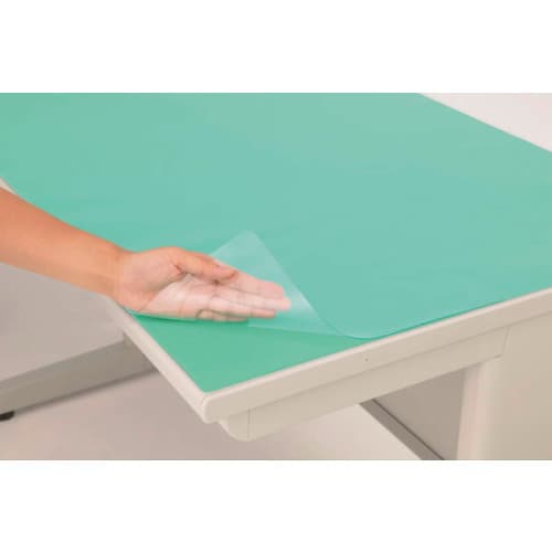 ライオン デスクマット(グリーンマット付・エコノミ