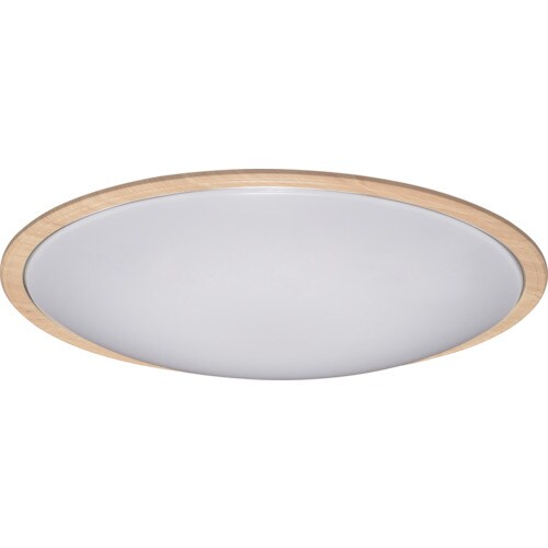 IRIS 249013 LEDシーリングライト メ