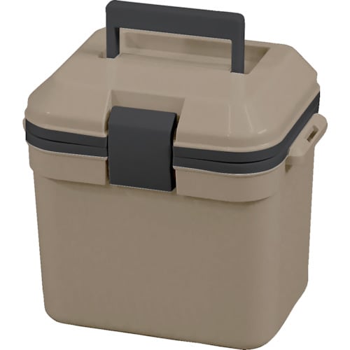 JEJアステージ アイセル#10 サンドベージュ