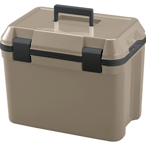 JEJアステージ アイセル#25 サンドベージュ