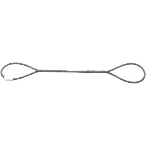 大洋 JIS玉掛ワイヤ O/O 12X2M(329