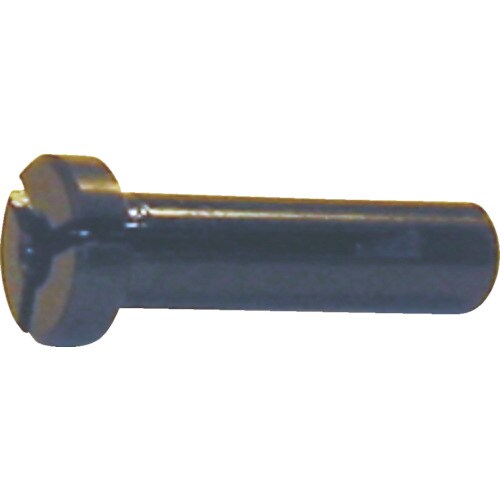 不二 コレットブッシュ