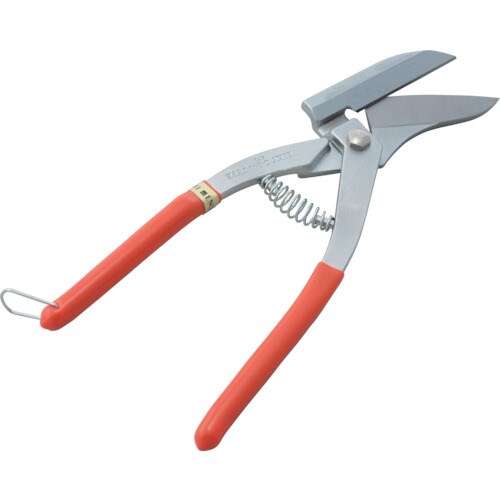 盛光 テスキー C