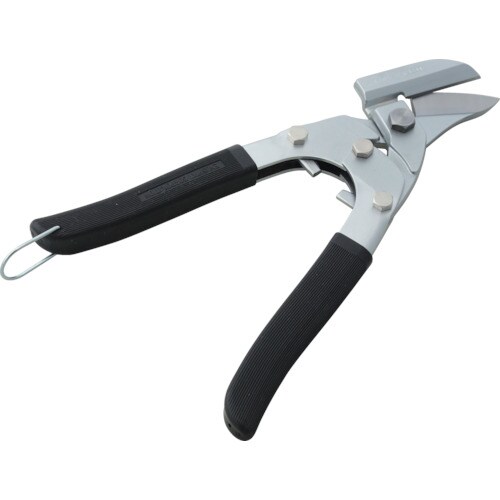 盛光 テスキー U