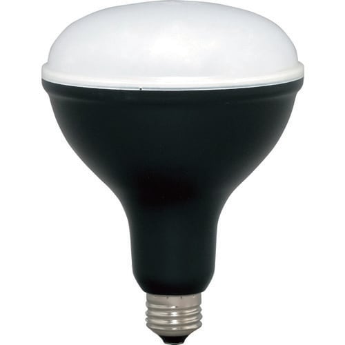 IRIS 522204 PROLEDS LED電球