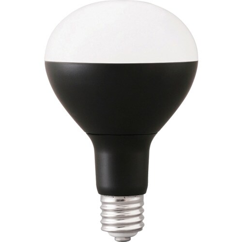 IRIS 574995 PROLEDS 投光器交換