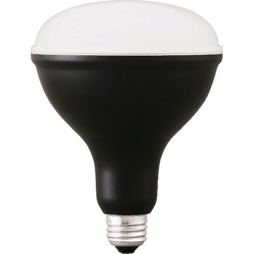 IRIS 574994 PROLEDS 投光器交換