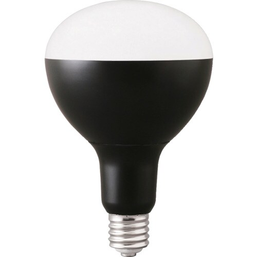 IRIS 574996 PROLEDS 投光器交換