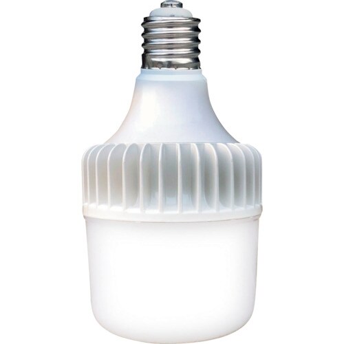 セフティー SAFETY E39LED電球 バラス