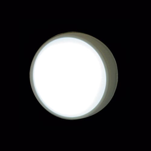 リーベックス マルピカ