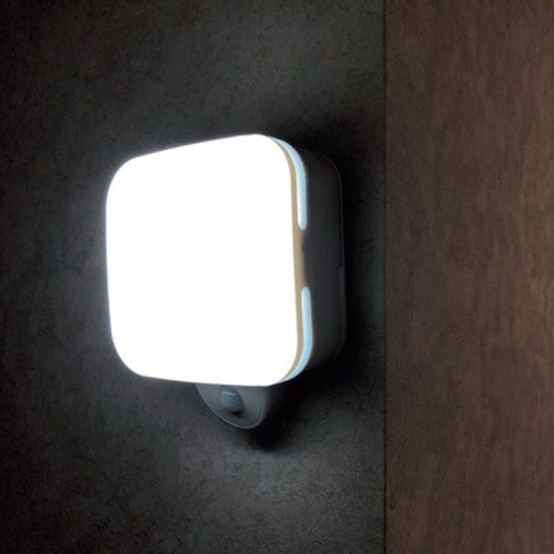 リーベックス カクピカ