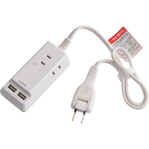 ELPA 耐雷USBコード付きタップ 0.5m