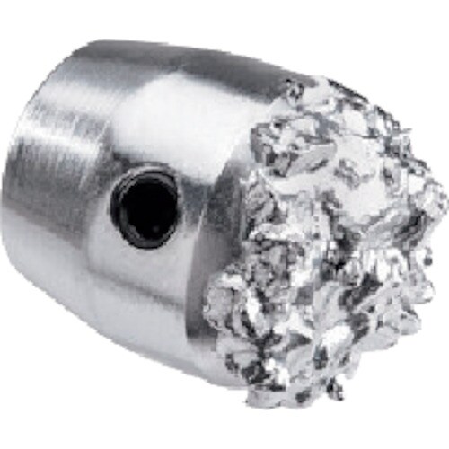 RIDGID フレックスシャフト(K9−306)専