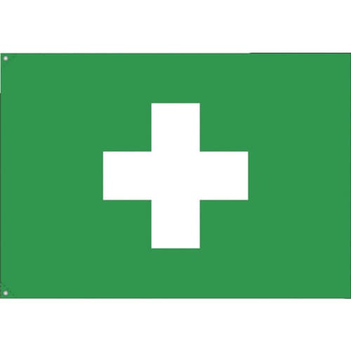 つくし 衛生旗 大