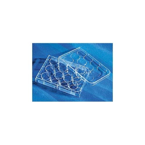 CellBIND(R)12ウェルプレート