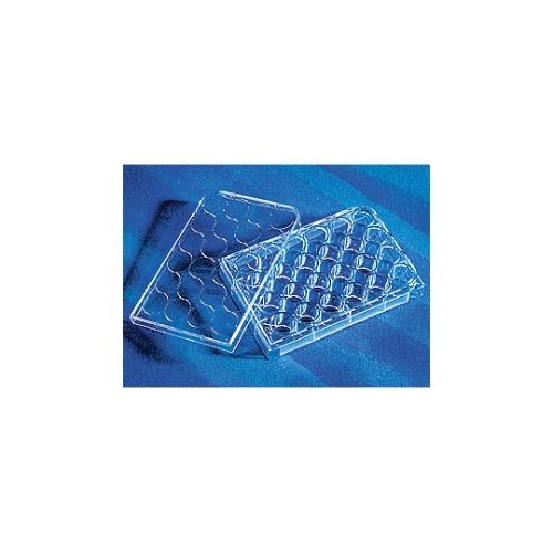 CellBIND(R)24ウェルプレート