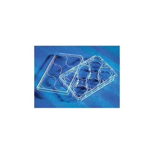 3736マルチプルウェルプレート6ウェル