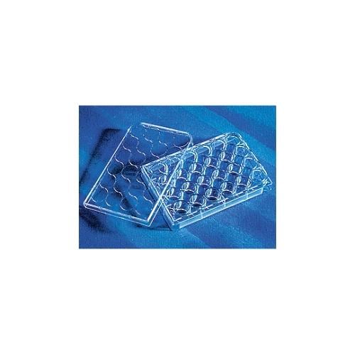 3738マルチプルウェルプレート24