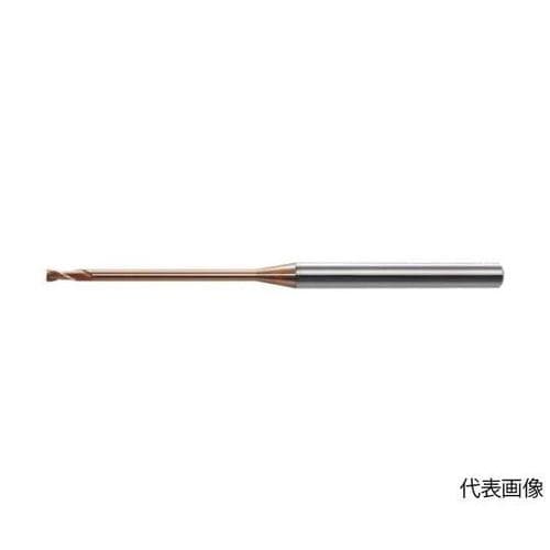 HLS20010075 ネックスクエア