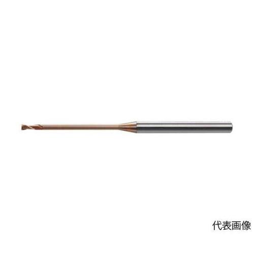 HLS2002020ロングネックスクエア