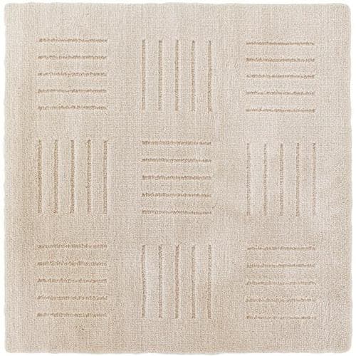 ピタプラス ブリック2枚入りBR60X60