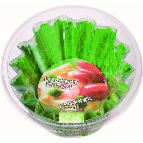 レタスケースコダマ 18マイ