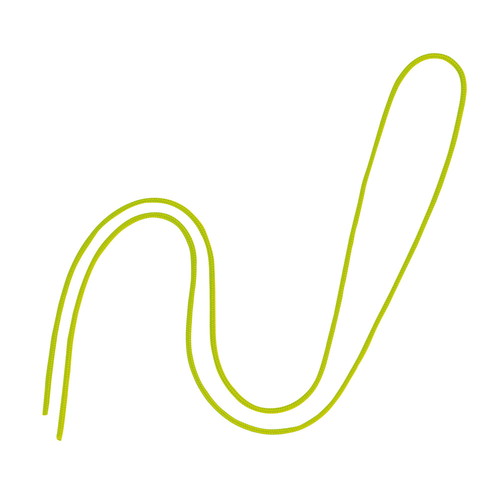 Dpp[cەR