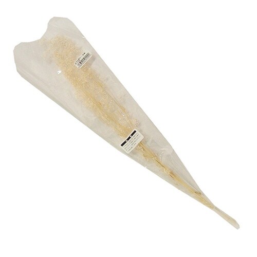 かすみ草 国産 ホワイト 2個入